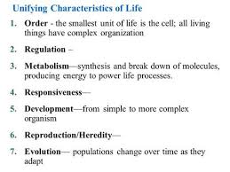 Fundamental reading food guide pyramid. Unifying Characteristics Of Life 1 Order The Smallest Unit Of Life Is The Cell 2 Metabolism 3 Responsiveness Perceive And React To Their Environment Ppt Download