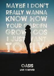 Don T Look Back In Anger Twenty One Pilots Oasis Song Lyrics Live Forever Displate Artwork By Artist Colo Design Part Of An 8 Piece Set Featuring Designs B Oasis Lyrics Oasis Live Forever Oasis Band