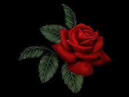 Pin De Tina Savvinopoulou En Cesaria Evora Flores Pintadas Cactus Dibujo Imagenes De Cactus