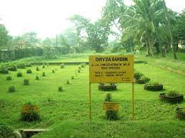 Fed up with paperwork clogging up your table?, have you considered an office in your garden?. Difference Between In Situ And Ex Situ Conservation Compare The Difference Between Similar Terms