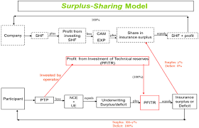 Statement of assets and liabilities , malaysia: Jrfm Free Full Text A Nontechnical Guide On Optimal Incentives For Islamic Insurance Operators Html