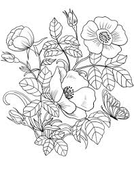 Spring Flowers Coloring Page Coloring Colouring Coloringbookpage Coloringpag Spring Coloring Sheets Flower Coloring Sheets Printable Flower Coloring Pages