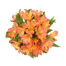 With events like weddings and summer parties back after the long pandemic year, owner richard Floral Department Pick N Save