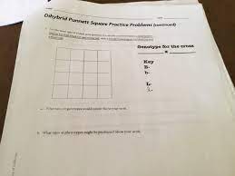 It is named after reginald c. Solved Date Dihybrid Punnett Square Practice Problems Co Chegg Com