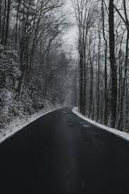 Maybe you would like to learn more about one of these? Black And White Forest Pictures Download Free Images On Unsplash