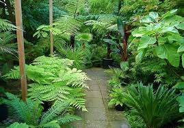 Awesome Tropical Garden Landscaping Ideas 36 Tropical Landscape Design Small Tropical Gardens Small Backyard Landscaping