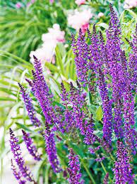 Pin On Gardening Tips Trends