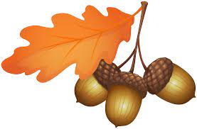 Clip arts related to fall acorn clipart. Acorns Png Clipart Gallery Yopriceville High Quality Free Images And Transparent Png Clipart