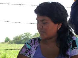 Investigaciones en Educ.Inicial