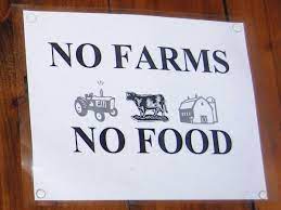 Архивировано 24 апреля 2014 года. Oms 119 Agricultura Tace SÄƒnÄƒtatea Isi Face Parte Revista Ferma