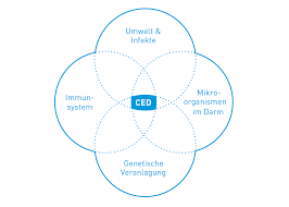 Morbus Crohn Mein Leben Mit Ced