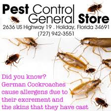 Are you searching for information online regarding if a landlord in florida is required to provide pest control for the rental property? Pest Control General Store Roaches German Cockroach Pest Control Did You Know