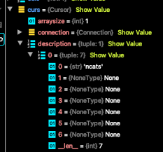 Cursor Description Columns List Is A 7 Tuple Even Though Only One Column In The Resultset Stack Overflow