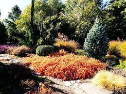 Fall In Yakima Wa Garden Garden Art Garden Plants