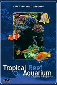 Aquarium Video Tropical Reef Aquarium Filmed In Hd With Natural Sound And Relaxing Music Aquarium Videos Reef Aquarium Nature Hd