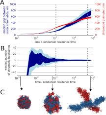 We did not find results for: Compaction And Segregation Of Sister Chromatids Via Active Loop Extrusion Biorxiv