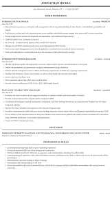 Resume marketing for cyber security & it. Cybersecurity Manager Resume Sample Mintresume