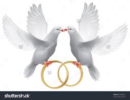 wedding doves with rings symbol of love and wedding decoration vector item for marriage 77680867 shutterstoc wedding doves wedding symbols wedding frames