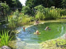 Wo Sind Die Salzburger Seite 87 Gartenfreunde Mein Schoner Garten Online Naturschwimmteich