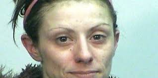 Bail held at $5g for Dover woman who tried to evade police by jumping into  Cocheco River