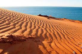 Rocky bay studio proudly presents ocean meets land, a showcase of artwork inspired by fremantle's iconic place between land and sea. Monkey Mia Wa Where Red Desert Meets The Sea Australian Traveller