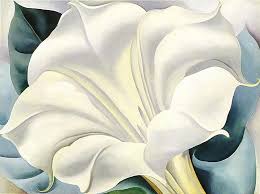 She made about 200 paintings of flowers of the more than 2,000 paintings that she made over her career. Art Flowers And Plants Can You Draw Like Georgia O Keeffe 4th June 2020 Marmosets