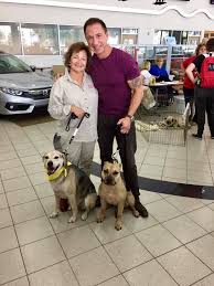 These cars give buyers plenty of peace of mind. Thank You John Marazzi The Brandon Honda And Sun Toyota Teams So Far We Re Looking At 20 Adoptions Across 11 Morg Manatee County Poodle Rescue Dog Friends