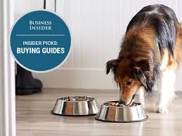 Best Dog Foods In 2020 That They Ll Love Business Insider Dog Food Recipes Dog Store Free Dog Food