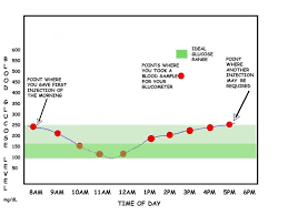 canine blood glucose curve diabetic dog diabetic dog food