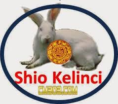 Pin Di Togel Online
