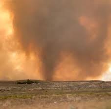 We did not find results for: Kalifornien Brande Losen Seltenen Feuer Tornado Aus Welt