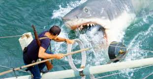 Us indianapolis survivors reunite and remember the tragic sinking of the ship. 10 Best Shark Movies Of All Time From Jaws To The Meg
