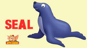 Animal Facts Seal Youtube