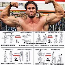 Pin By Zain On Sport And Exercise Shoulder Workout Bodybuilding Bodybuilding Training Arm Workout