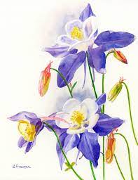 Blue Columbines Watercolor Painting Original By Ssfreeman43 100 00 Blue Flower Painting Flower Painting Flower Art