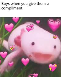 Want to discover art related to wholesomememes? It S True Just A Little Can Go A Long Way R Wholesomememes Wholesome Memes Know Your Meme