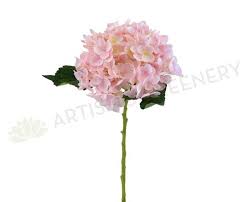 We did not find results for: F0171 Premium Silk Hydrangea Single Stem 53cm Light Pink 17cm Diameter Australia Perth Artistic Greenery