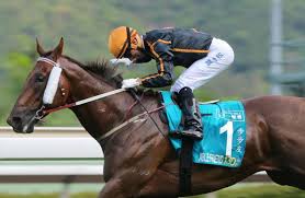 John Moore admits retirement 'on the cards' for Able Friend