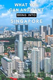 What You Can And Can T Bring Into Singapore In 2020 Asia Travel Singapore Travel Singapore Travel Tips
