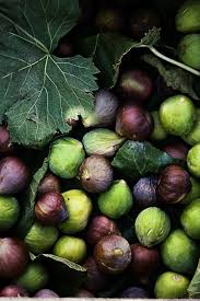 Pratos E Travessas Food Photography And Stories Fruit Beautiful Fruits Fruit And Veg