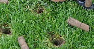 Other plugger pull 32, plugger pull 32, aerator / aerators. Rent An Aerator For A Healthier Lawn Nickell Rental Tool And Equipment Rental