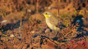 Linaerdel porn listen up, you can book with