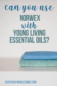 Maybe you would like to learn more about one of these? Everyday Wholesome Safe Natural Cleaning Products Thieves Norwex