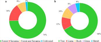 Image result for Millettia eetveldeana
