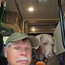 Lions, bears, and wolves!