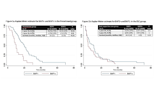 Background malignant peritoneal mesothelioma (pem) is a rare but frequently fatal cancer that originates from the peritoneal lining of the . Bap1 Loss Predicts Longer Survival For Mesothelioma Patients Treated With Pemetrexed Based Chemotherapy European Respiratory Society