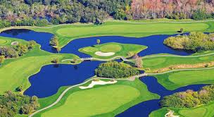Image result for water carries golf