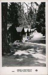 These items include, but are not limited to: Crestline California Vintage Postcards Images