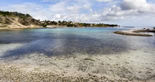 The newly renovated lobby is filled with contemporary and. 4 Best Curacao Beaches