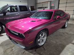 Image result for Furious Fuchsia 2010 Challenger